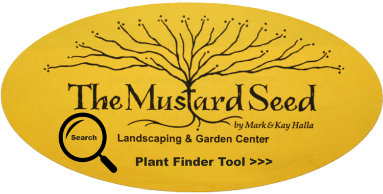 Plant Search Tool - Mustard Seed (750x380), Png Download