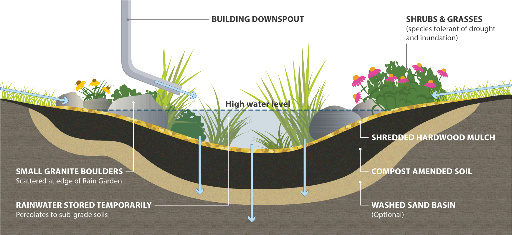 Rain Garden Cross Section - Rain Garden (1758x810), Png Download