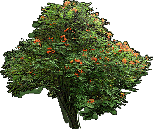 Try The Demo Or Choose A Plan - Garden Puzzle Plants (538x454), Png Download