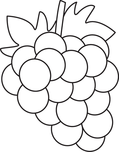 Grapes Clipart Black And White (394x500), Png Download