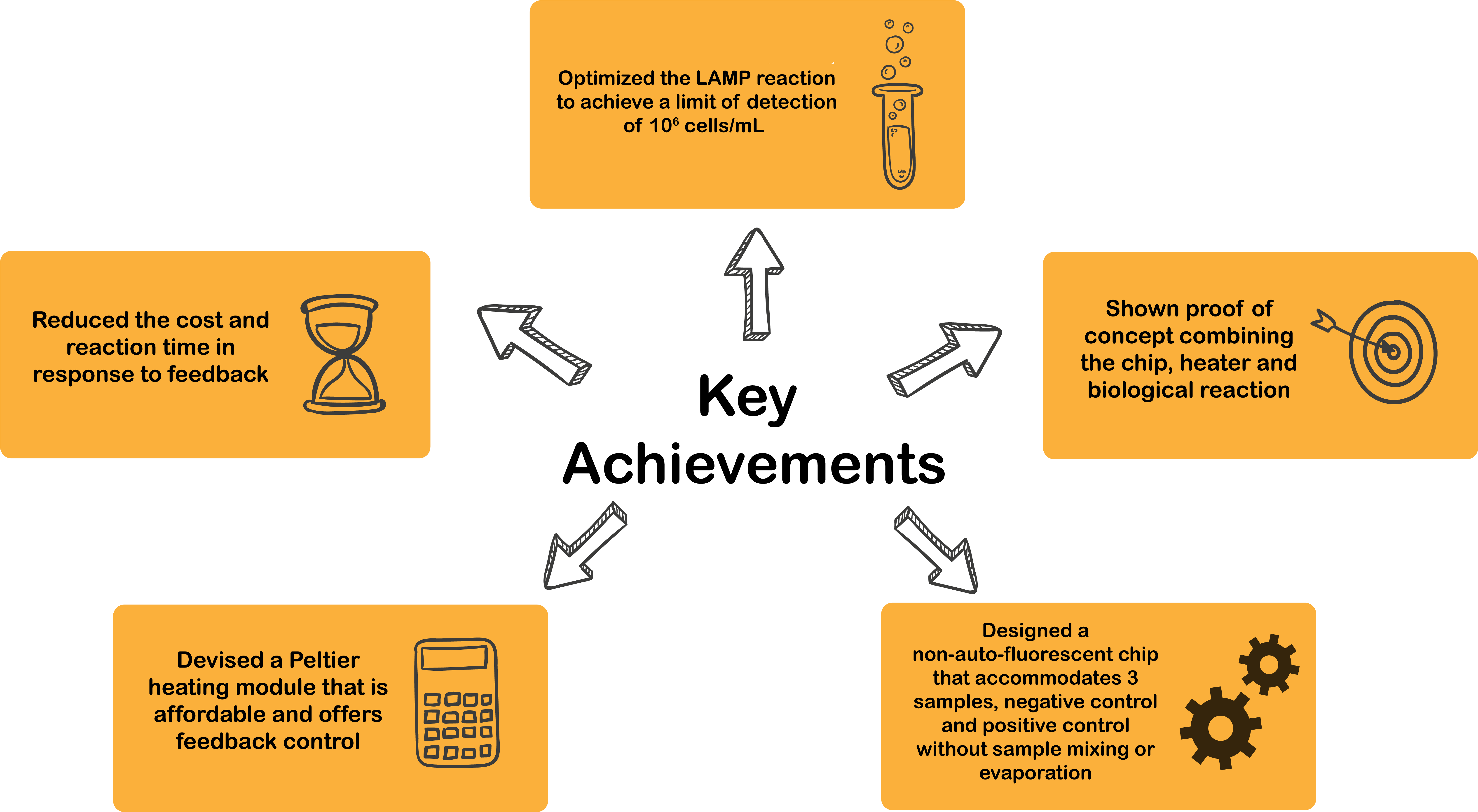 Successfully Digested, Ligated, And Transformed Rfbe - Diagram (6542x3619), Png Download