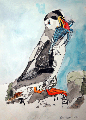 Watercolor Birds 2 - Watercolor Painting (700x500), Png Download