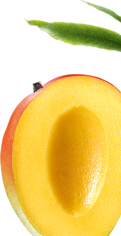 Nourishing - Klorane Nourishing Shampoo With Mango Butter (720x773), Png Download