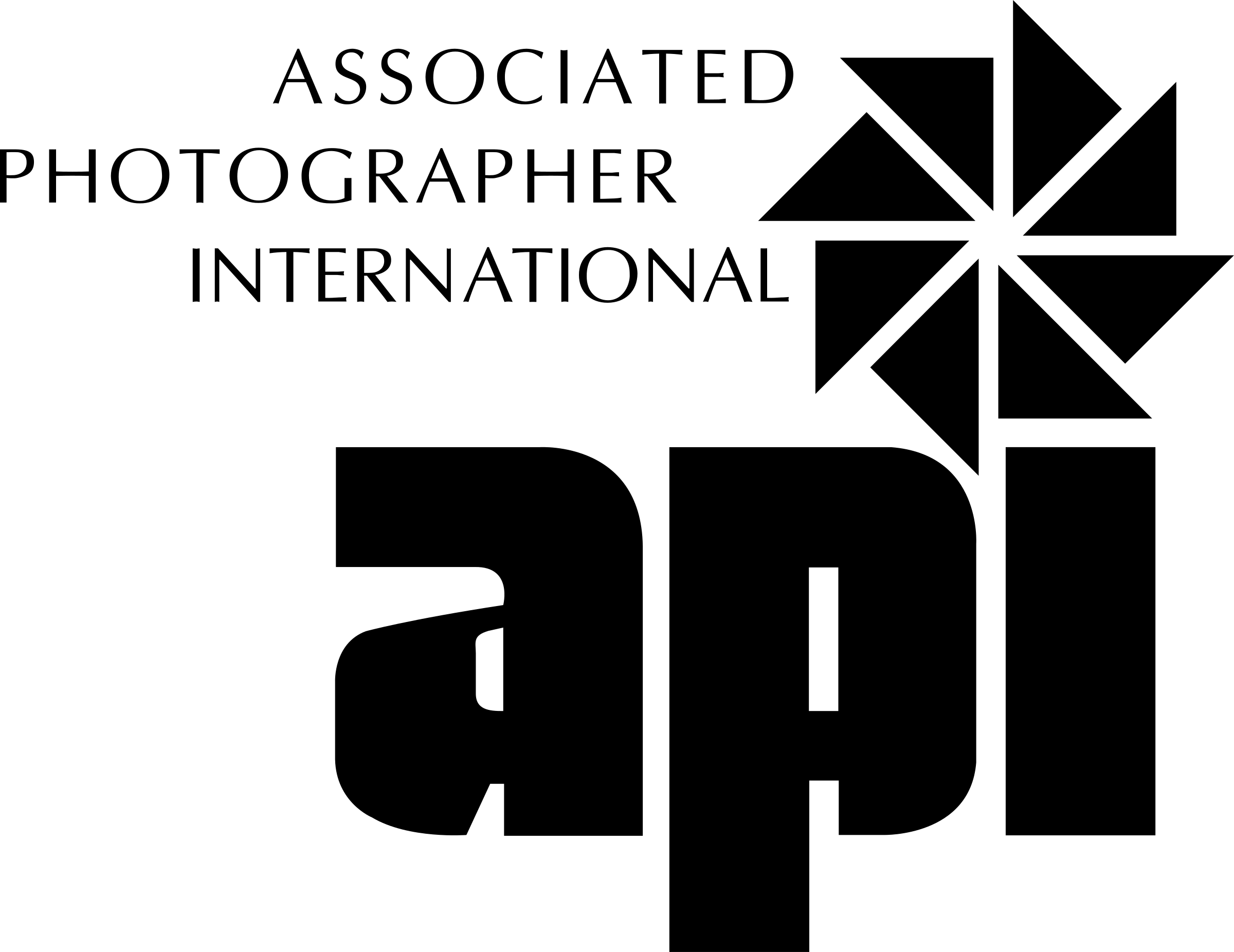 Assoc Photographer Logo Png Transparent - Application Programming Interface (2400x1852), Png Download