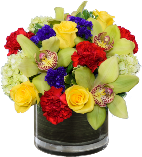 Birthday Bounce - Bounce Of Flowers (582x633), Png Download