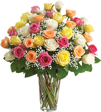 Color Me Pretty Roses In Houston, - Ultimate Elegance Long Stem Assorted Roses - Flowers (345x377), Png Download