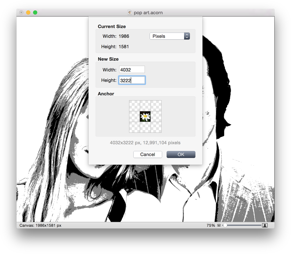 Screen Shot 2015 06 04 At - Pop Art Black And White Photo Editor (1000x872), Png Download
