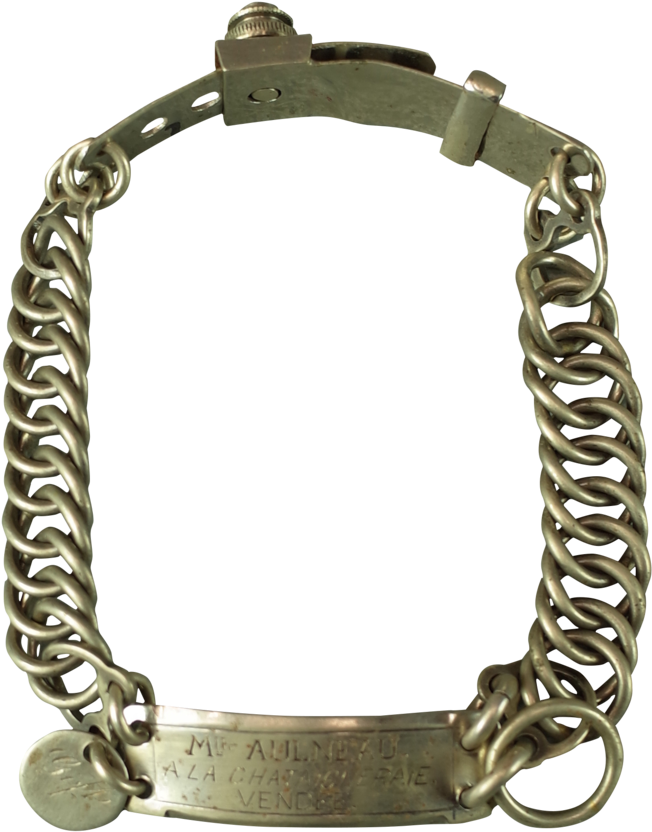 Nickel Dog Collar With Engraved Name Plate - Bracelet (1024x1121), Png Download