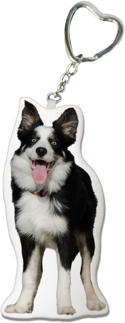 Collie Key-chain - Keychain (1240x1754), Png Download