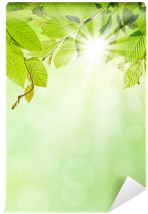 Stock.xchng (400x400), Png Download