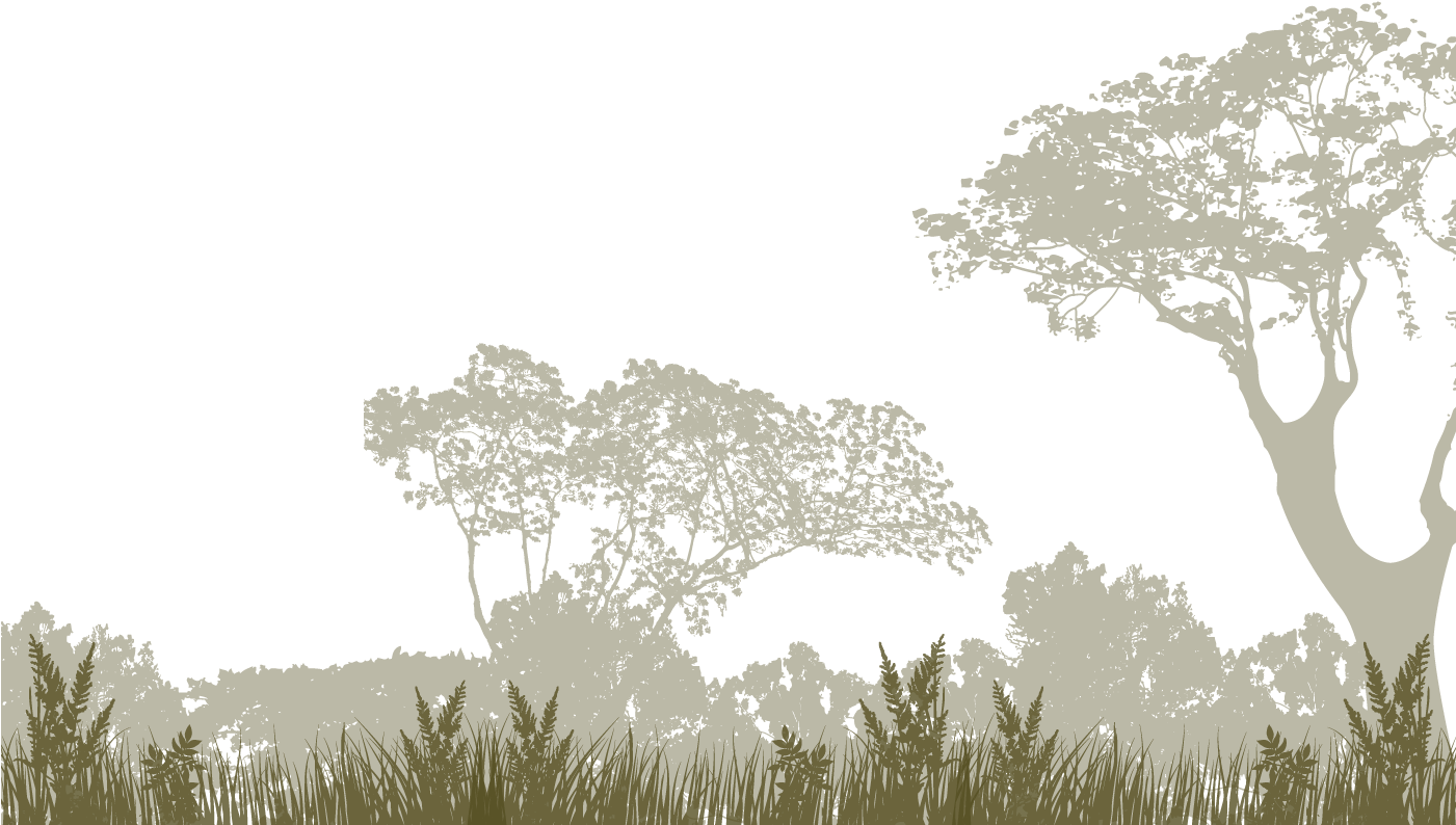 Bague Au Cabochon Vintage À La Silhouette D'arbre, (1400x800), Png Download