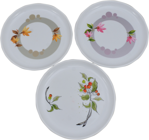 Round Big Plate Printed - Big Plate Restaurant Supply (500x467), Png Download