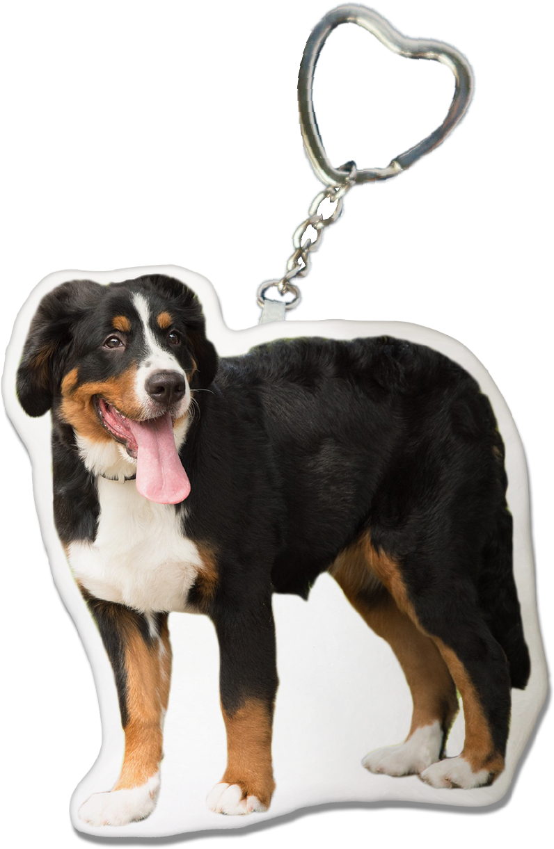 Bernese Mountain Dog Keychain - Bernese Mountain Dog (1240x1754), Png Download
