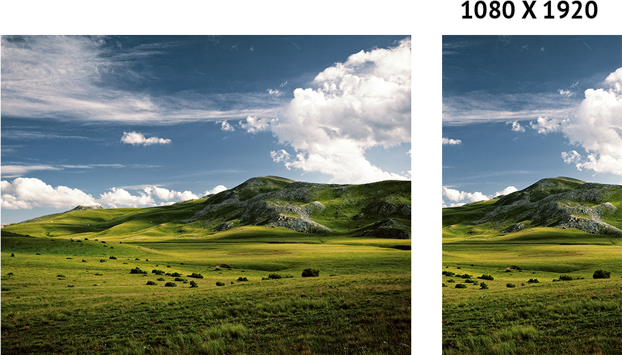 Background Image - Grassland (1000x550), Png Download