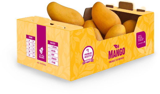 Mango - Mangoes In Box Png (516x302), Png Download
