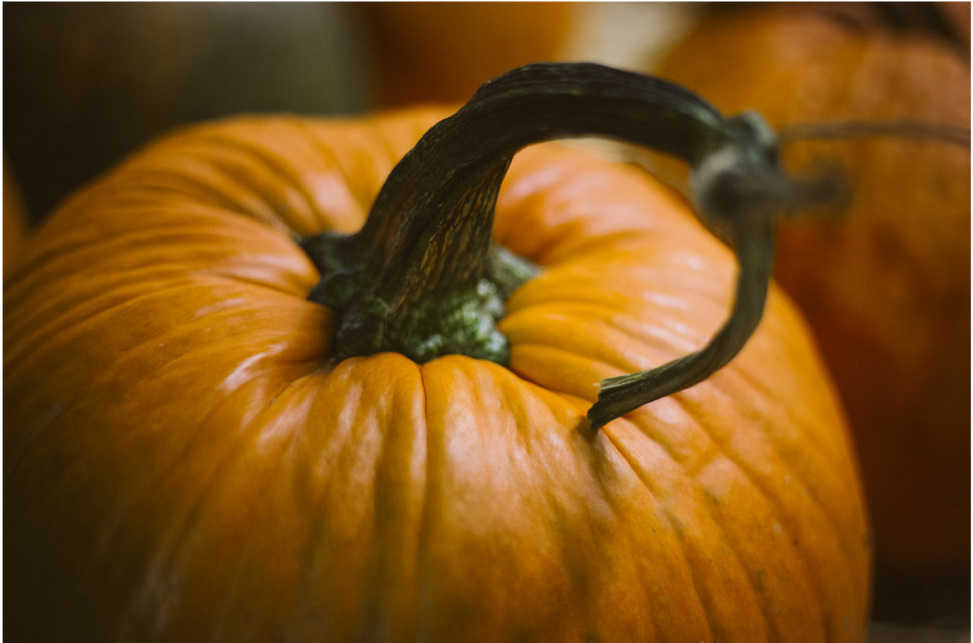 Pumpkin Spice Latte Photograph (1600x900), Png Download