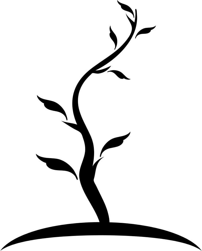 Tree Thin Shape Of Young Trunk With Few Leaves Comments - Tronco Arbol Dibujo Png (790x981), Png Download