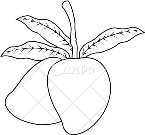 Png Stock Mangoes Drawing At Getdrawings Com Free For - Fruit (550x550), Png Download