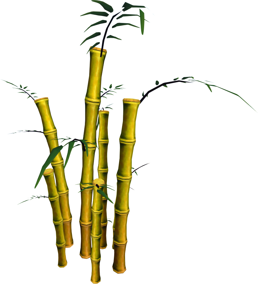 Image - Bamboo (854x940), Png Download