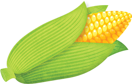 Sweet Corn - Maize (500x500), Png Download