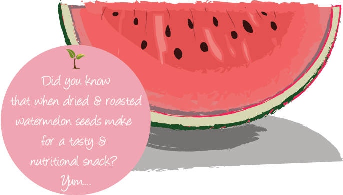 Seed Fact - Watermelon (700x400), Png Download