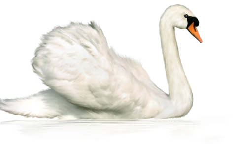 0 14474b 578a4850 Xl - .net (500x292), Png Download