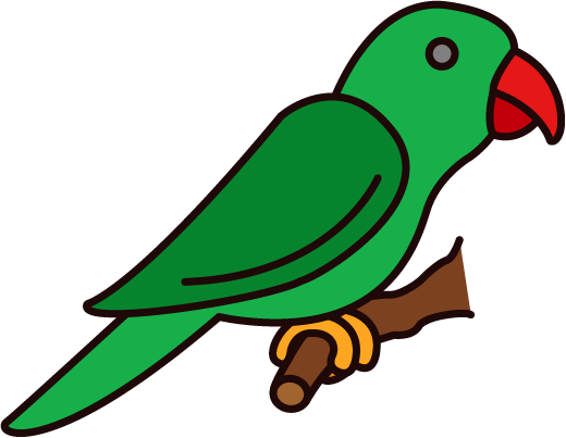 Png Coloured - Parrot (520x403), Png Download