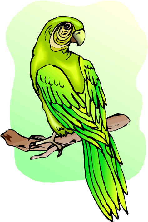 Free Parrot And Macaw Clipart - Macaw (527x750), Png Download