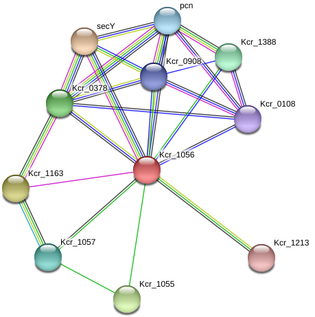 Circle (975x500), Png Download