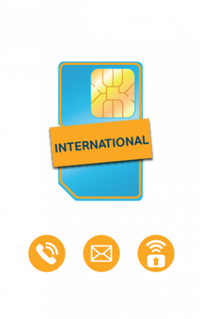 International Sim Card - Parallel (291x464), Png Download