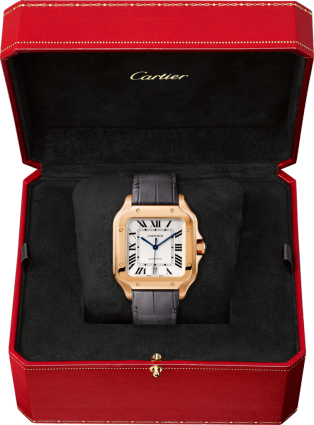 Santos De Cartier Watch - Wgsa0012 (314x425), Png Download