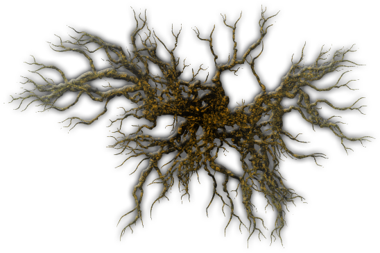 I Also Added A Bevel Effect To Make The Branches A - Tree Top Down Png (548x364), Png Download