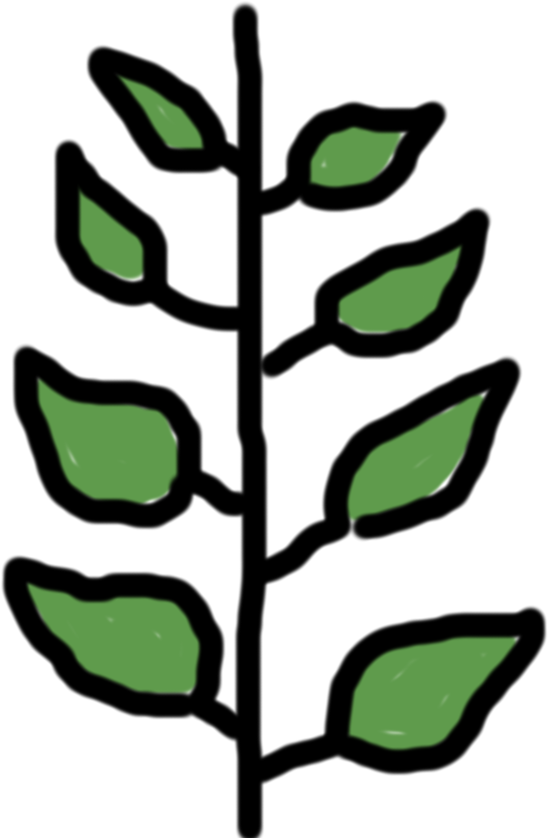 Plant - Tree (2048x2048), Png Download