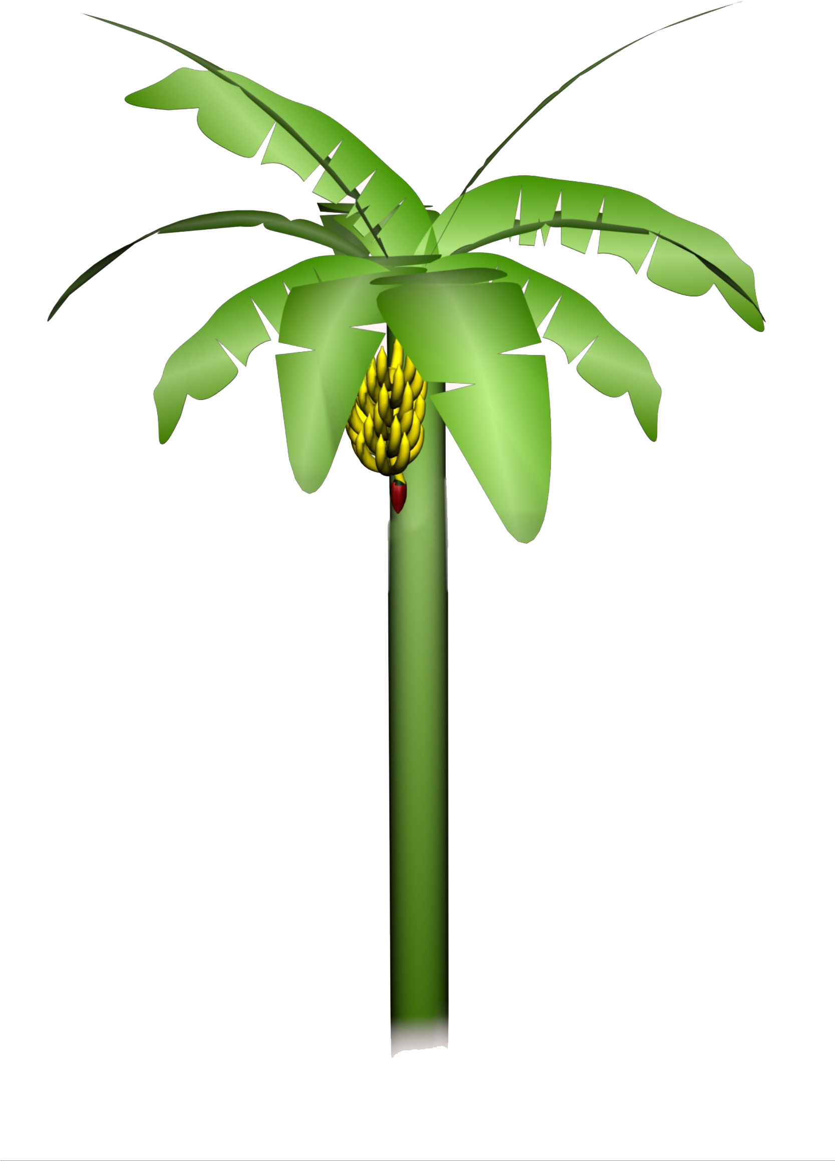Clip Art (1666x2400), Png Download