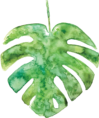 Widget Image (361x407), Png Download