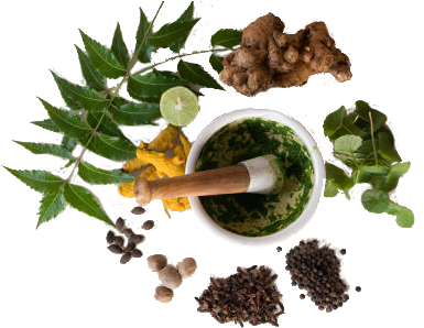 About Kankayan Ayurved Mahachikitsalay - Natural Remedies For Beginners: How To Protect, Cure (400x300), Png Download