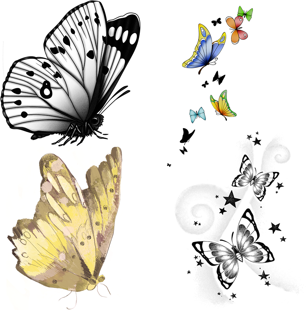 Use These Sample Clipart Items From The Butterfly Clip - Picsart Butterfly (1024x1024), Png Download