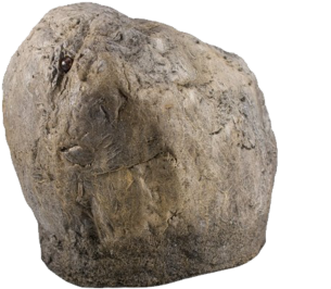 Stone Png - Hidden Camera Outdoor (457x359), Png Download