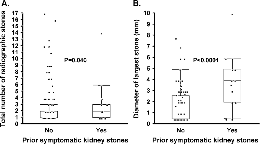Among 210 Potential Kidney Donors With Kidney Stones - Kidney Stone (850x473), Png Download