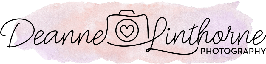 Photography (957x289), Png Download