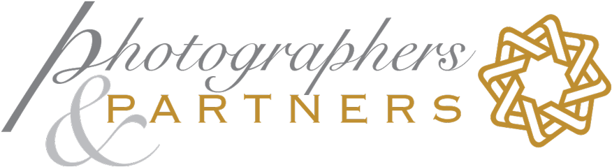 Photographers And Partners - White Couple Ampersand Throw Pillow 20"x20" - Surya (900x259), Png Download