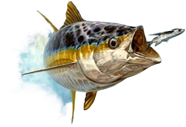 Taken From The Real Life Imagery Of Don Ray's Artwork - Don Ray - Approaching Front - Yellow Fin Tuna (420x294), Png Download