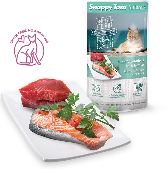 Cat Food (553x559), Png Download