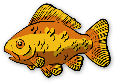 You're Now Ready To Go Fishin For Real - Goldfish (486x349), Png Download