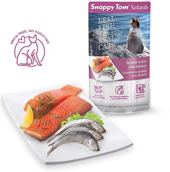 Snappy Tom (553x559), Png Download