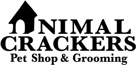 Logo - Pet Store (541x240), Png Download