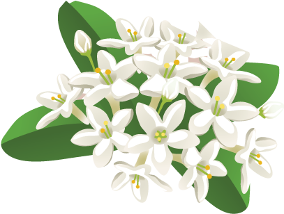 Related Wallpapers - Philippines National Symbol Clipart (415x322), Png Download