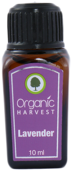 Add To Wishlist Loading - Cosmetics (600x600), Png Download