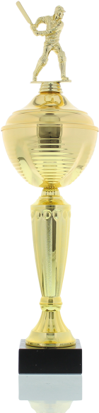 Cricket Batsman 45,0cm - Trophy (900x600), Png Download
