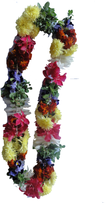 String St - Kathambam Flower (600x800), Png Download